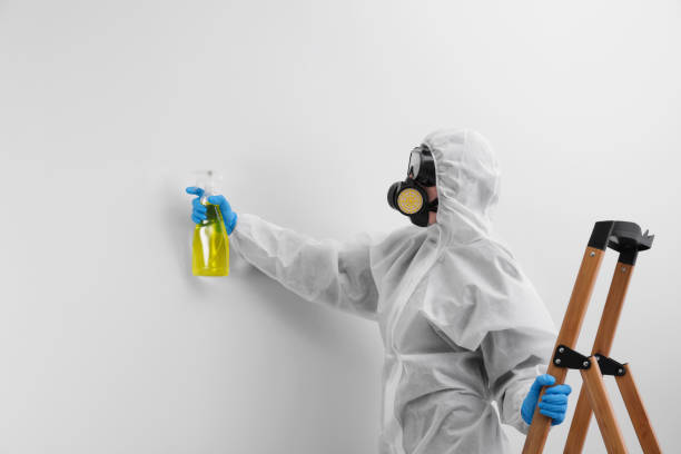 Best Mold Remediation for Healthcare Facilities  in Pickerington, OH