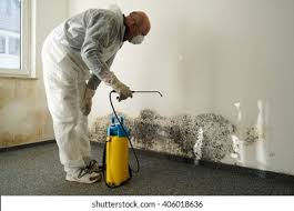 Why You Should Choose Our Mold Remediation Services in Pickerington, OH